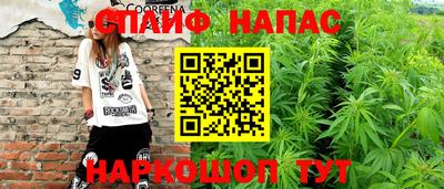 шишки Новокубанск