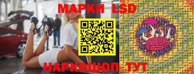 шишки Новокубанск