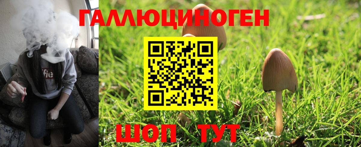 Тула  Галлюциногенные грибы прущие грибы  Вход с VPN  Галлюциногенные грибы Psilocybine cubensis 