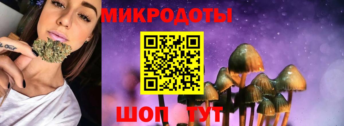 Псилоцибиновые грибы мицелий Тула